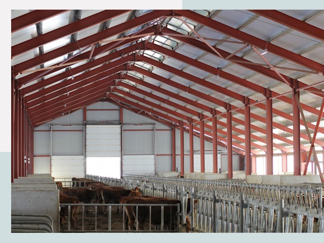 Строительство коровников в Жигулевске