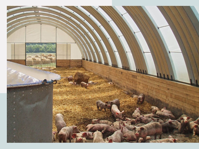 Строительство свинарников в Жигулевске