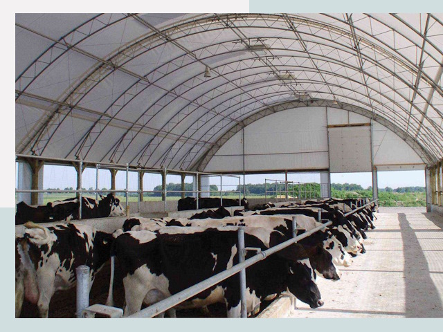 Тентовые коровники в Жигулевске